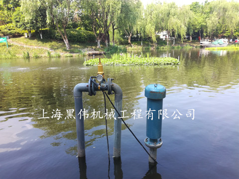 河道治理沉水式鼓風(fēng)機